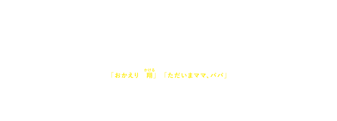第79回カンヌ国際映画祭 コンペティション部門正式出品作品　社会に生きる人々を、鋭く温かな眼差しで描き高い評価を得てきた是枝裕和監督。綾瀬はるかと大悟（千鳥）を主演に迎えて贈るの物語の舞台は、少し先の未来。子供を亡くした夫婦は、息子の姿をしたヒューマノイドを迎え入れることに。「おかえり　翔（ルビ：かける）」「ただいまママ、パパ」再び動き出した家族の時間。やがて一家を待ち受ける、想像を超えた＜未来＞とは――。
