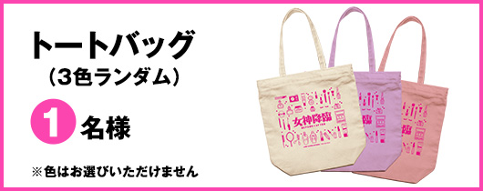 トートバッグ（３色ランダム）※色はお選びいただけません　１名様