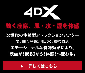 4DX