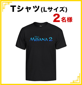 TシャツLサイズ 2名様