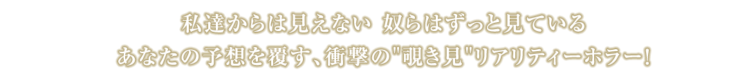 私達からは見えない 奴らはずっと見ている あなたの予想を覆す、衝撃の“覗き見”リアリティーホラー!