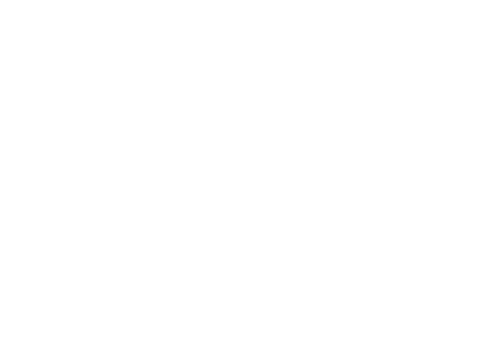 映画『ザ・ウォッチャーズ』2024年6月21日(金)公開