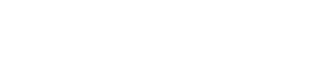 映画『ザ・ウォッチャーズ』2024年6月21日(金)公開