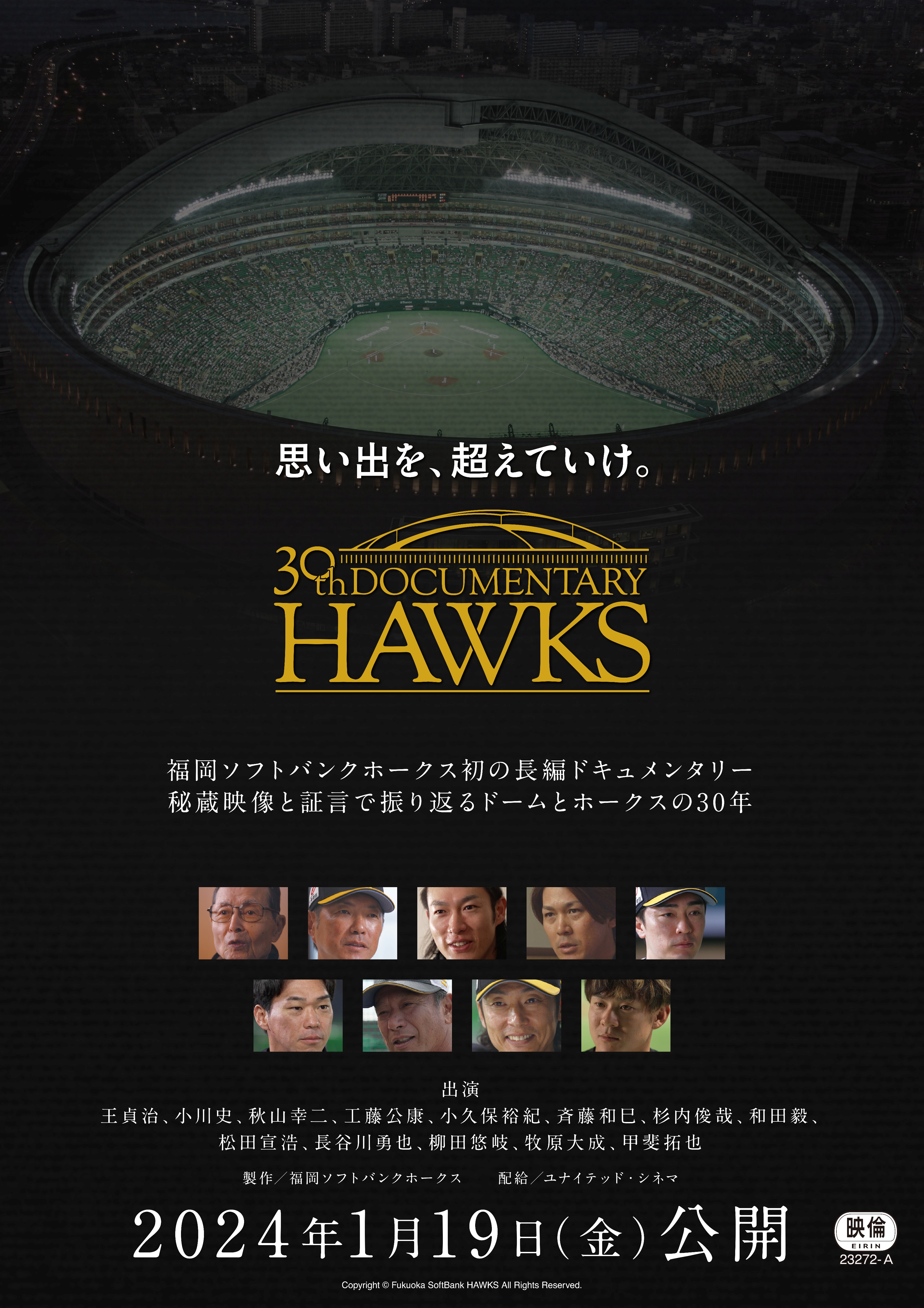 voAĂB30th Documentary HAWKS