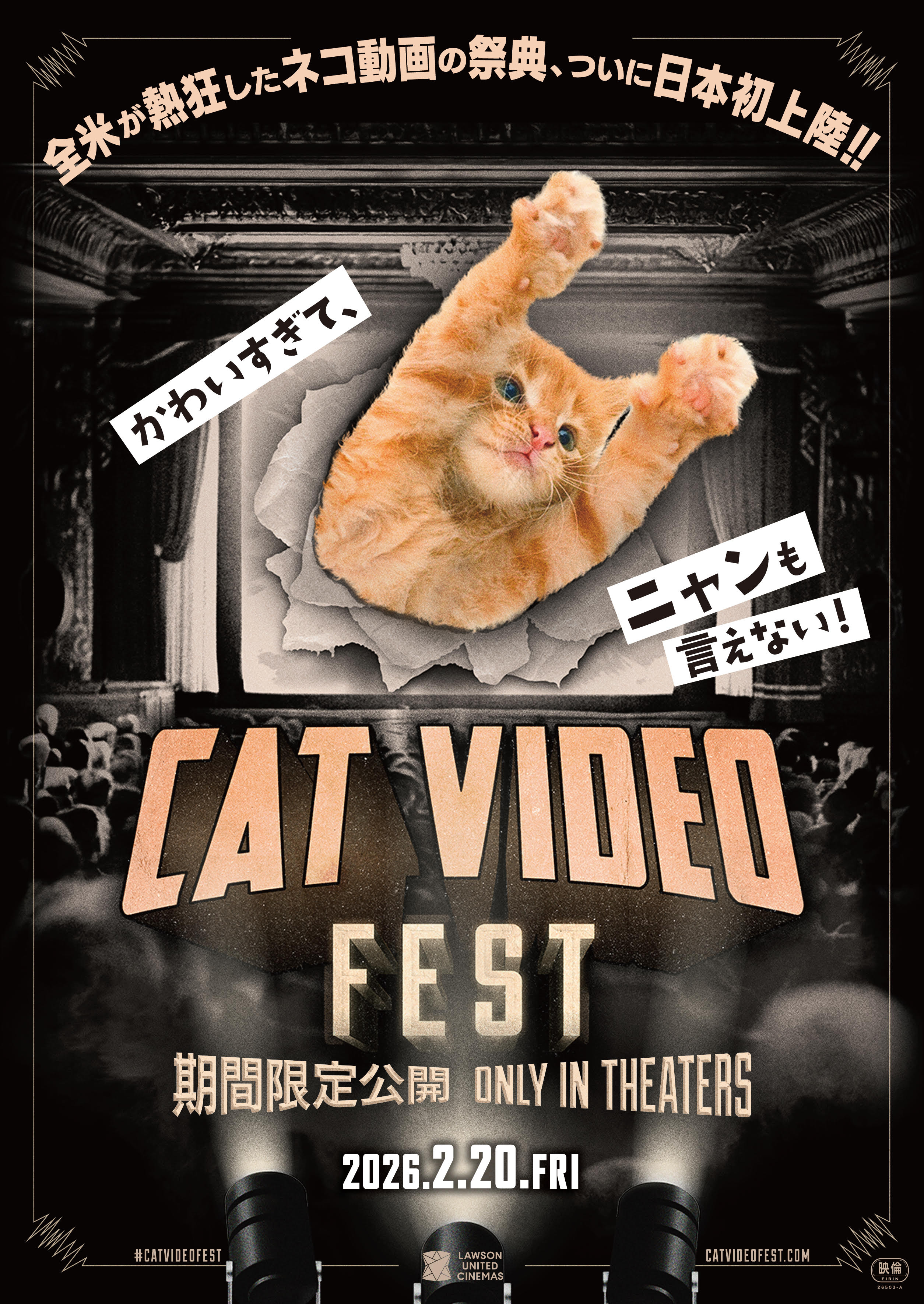 CAT VIDEO FEST