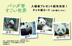 �T���l�C��