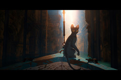 �T���l�C��