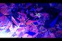 アズワン／AS ONE