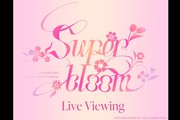 Ensemble Stars!! Cast Live Starry Symphony -Superbloom- Live Viewing