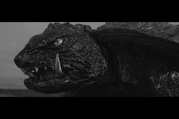 �y���a�K�����f��Ձz�w����b�K�����x4K�f�W�^���C����