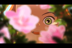 �A�����ƉJ�̕���