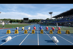 ����A�j���w�ЂႭ���ށB�x���C�L���O�h�L�������^���[�@�[�^��(�K�`)�ɂȂ邽�߁[