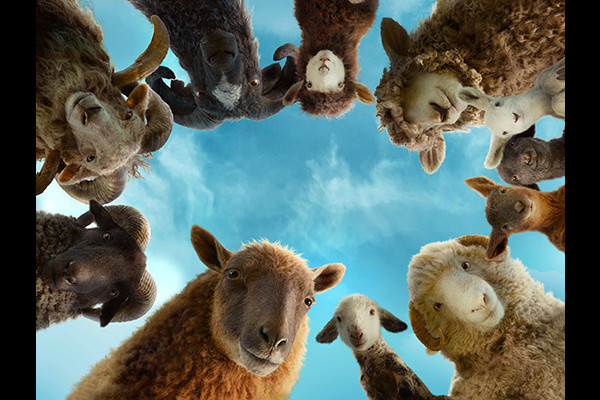 �Ђ��T��c