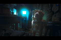 GOOD BOY�^�O�b�h�{�[�C