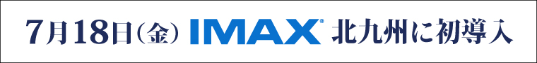 qIMAX