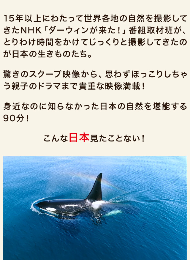 $B%$%s%H%m%@%/%7%g%s(B